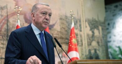 Lâ Edrî Yazdı: Recep Tayyip Erdoğan’ın Değişim Açmazı