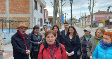 ‎EÇGD’den Ağaç Budamalarına Tepki