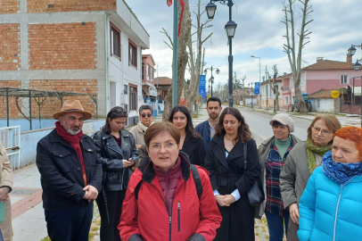‎EÇGD’den Ağaç Budamalarına Tepki