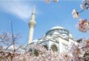 Cem Murat Yazdı: Okyanustaki Faciadan Uzak Doğu’daki Mihraba; Tokyo Camii