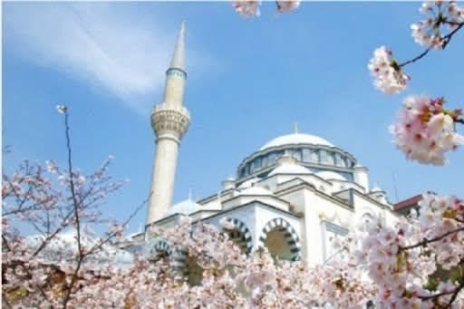Cem Murat Yazdı: Okyanustaki Faciadan Uzak Doğu’daki Mihraba; Tokyo Camii