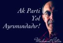 Mahmut Çetin Yazdı: Ak Parti Yol Ayrımındadır