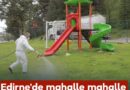 Edirne’de mahalle mahalle ilaçlama takvimi belli oldu