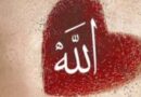 Mehmet Akkaşoğlu Yazdı: Allah’ın Güzel İsimlerinden “Hakem”…