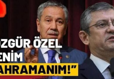 Fatih Süleyman Denizolgun’dan Arınç’a Veryansın!