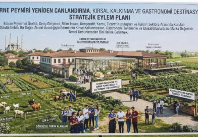 Dr. Aydemir Ay Yazdı: Edirne Peyniri Yeniden Canlandırma, Kırsal Kalkınma ve Gastronomi Destinasyonu Stratejik Eylem Planı