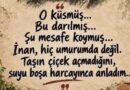 Cem Murat Yazdı: Bir Neslin Kimlik Bunalımı